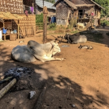 D4665D91-9B63-4B0A-85DB-280269E2D54D D4665D91-9B63-4B0A-85DB-280269E2D54D