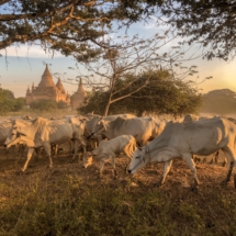 DA9C8682-82F4-4DC9-8D1E-F6102C67268E DA9C8682-82F4-4DC9-8D1E-F6102C67268E