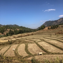 DBF23CE4-307D-44A4-B09B-187F4EC145DC DBF23CE4-307D-44A4-B09B-187F4EC145DC