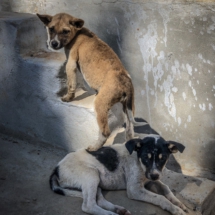 E9B60A12-EFF5-444E-A3C2-A0CFEAE45460 E9B60A12-EFF5-444E-A3C2-A0CFEAE45460