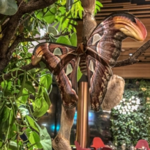 49F5BE12-E5D4-489F-BD30-8A64EB851E89 49F5BE12-E5D4-489F-BD30-8A64EB851E89