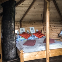 1F444CCF-A30B-4AAF-A561-A7A263B2F8D0 1F444CCF-A30B-4AAF-A561-A7A263B2F8D0