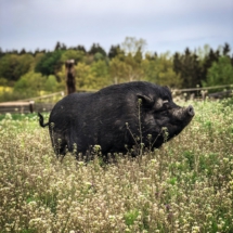 83CB41A5-89FF-45E6-8277-6CAD98EA0AC2 83CB41A5-89FF-45E6-8277-6CAD98EA0AC2