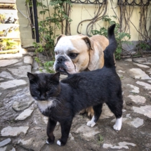 FF2171C7-B8D9-48EF-B3B3-0F6AC9238326 FF2171C7-B8D9-48EF-B3B3-0F6AC9238326