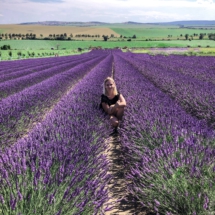 0FB80FB5-800F-4397-89AA-9834D65A4A91 0FB80FB5-800F-4397-89AA-9834D65A4A91