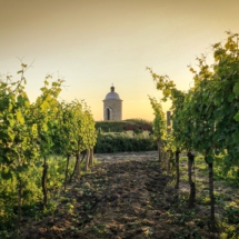 169906ED-40D5-49D4-8715-5943D5A43A71 169906ED-40D5-49D4-8715-5943D5A43A71