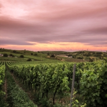 46261F4A-9523-46B6-B0FA-7F6F8F7BB592 46261F4A-9523-46B6-B0FA-7F6F8F7BB592