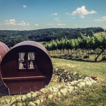 533F0D1B-50D0-4201-98FA-DFF5AD63BB34 533F0D1B-50D0-4201-98FA-DFF5AD63BB34