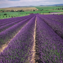 978AC0C8-E18D-4CD1-8D0C-9C52B8258592 978AC0C8-E18D-4CD1-8D0C-9C52B8258592